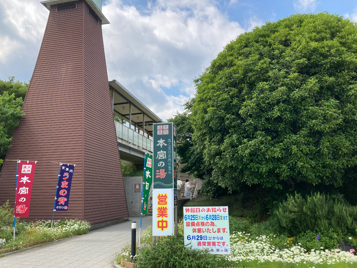 背中を、押してもらった。